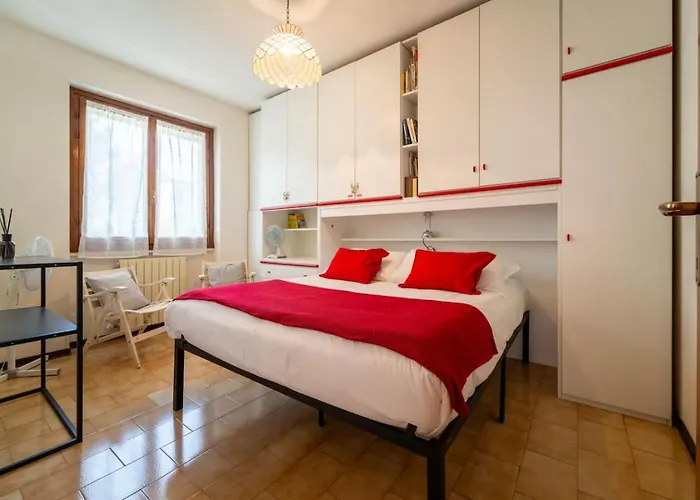 Primula Comfort * Μπελάτζιο